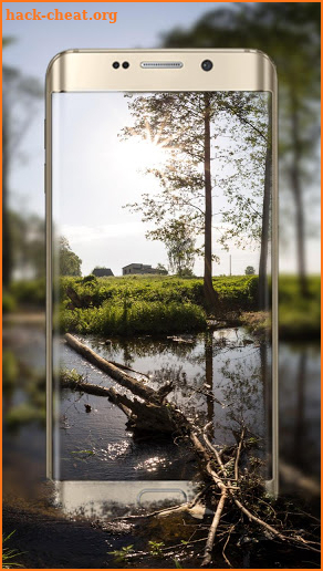 (3D VR Panoramic) Forest oxygen bar live wallpaper screenshot