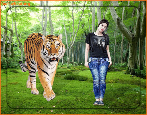 3D Wildlife Animal Photo Editor : Wild HD Frames screenshot