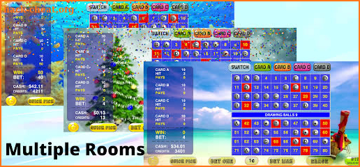 4 Card Keno - Multi Card Keno screenshot