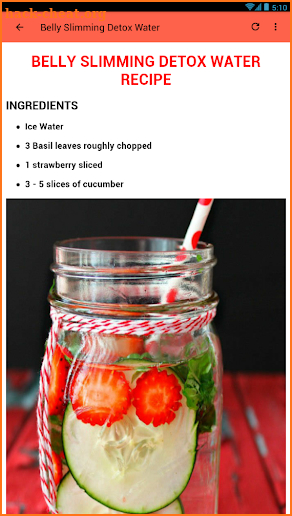 40+ Detox Water Drinks Recipes screenshot