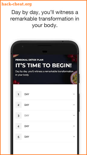 5 Day Cleansing Diet screenshot