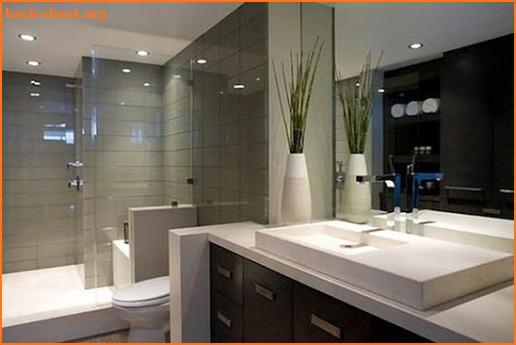 80 More Bathroom Remodels Lay Outs screenshot