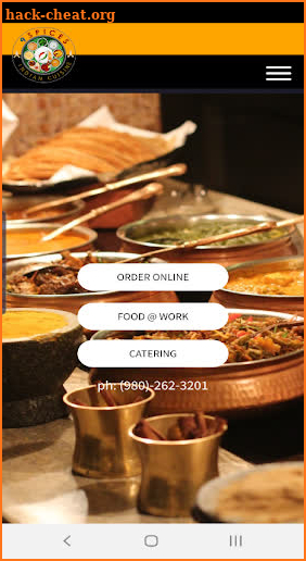 9 Spices Indian Cuisine screenshot