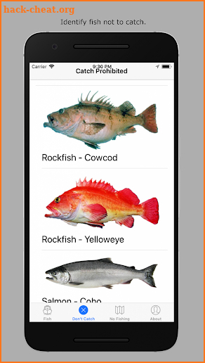 A California Fishing App screenshot