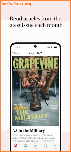 AA Grapevine screenshot