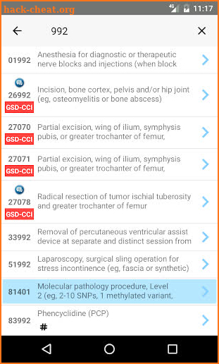 AAOS Code-X Lite 2019 screenshot