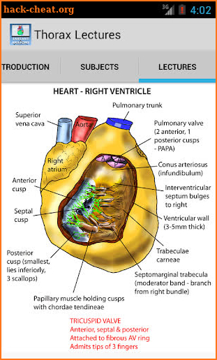 Abdomen and Thorax Lectures screenshot