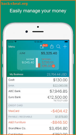 Account Book - Money Manager screenshot