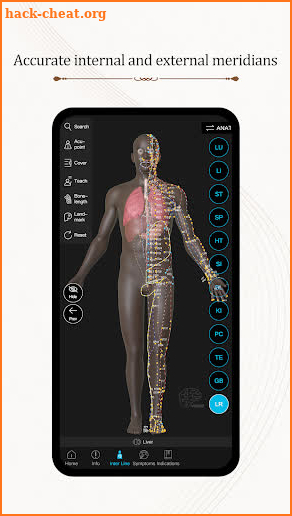 Acupuncture Master screenshot