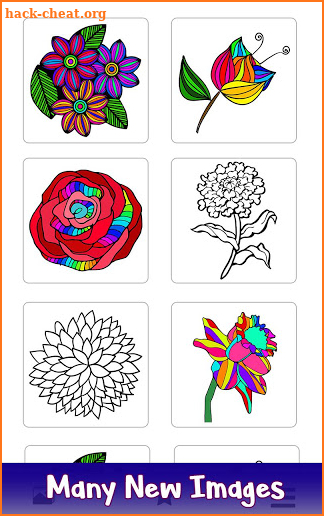 Adult Color by Number Book - Paint Flowers Pages screenshot