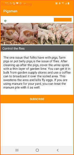 africa pigsman screenshot