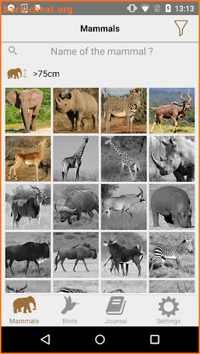 African Safariguide Lite screenshot