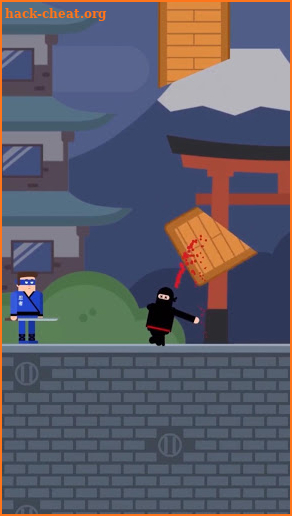 Agent Ninja-Ninja Puzzles screenshot