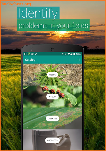 Agrobase - weed, disease, insect screenshot