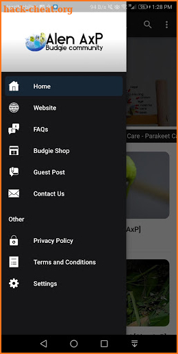 Alen AxP Budgie Community screenshot