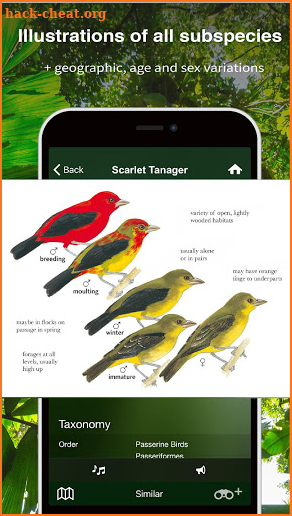 All Birds Trinidad & Tobago - Sunbird Field Guide screenshot