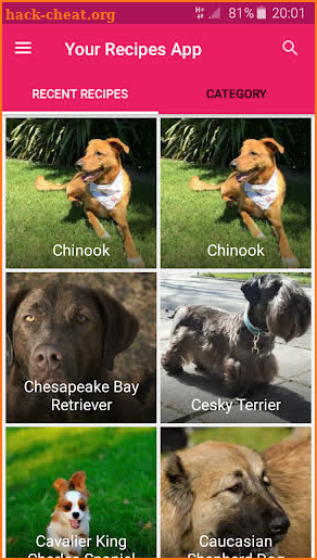 All Dog Breed Profiles screenshot