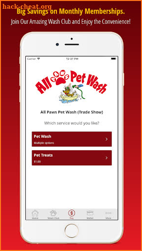 All Paws Pet Wash screenshot