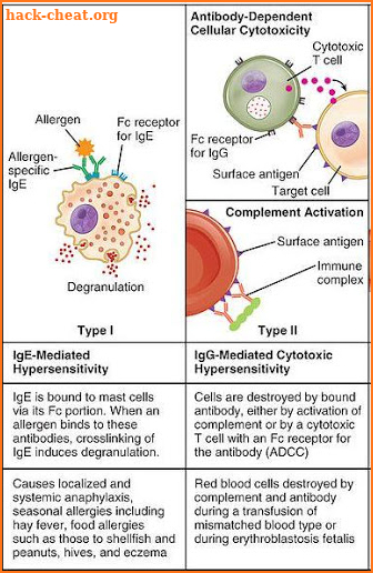 Allergy-Causes, Symptoms & Treatment screenshot