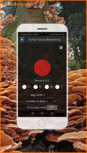 Alpha Focus Bracketing screenshot