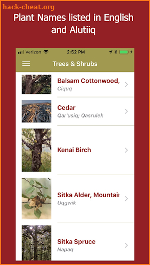 Alutiiq Plants screenshot