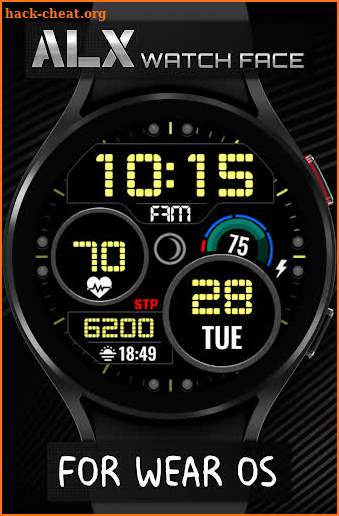 ALX04 LCD Digital Watch Face screenshot