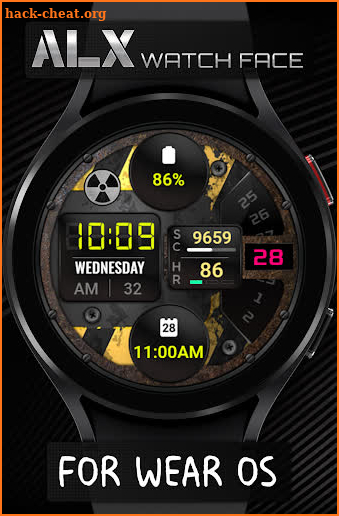 ALX25 LCD Watch Face screenshot