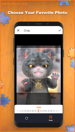 Amazing Photo Puzzle screenshot