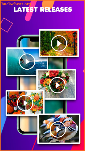 Amazing Videos Fusion screenshot