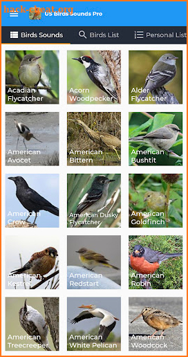 American Birds Sounds Pro screenshot