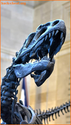 American Museum of Natural History Travel Guide screenshot