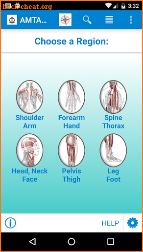 AMTA Anatomy screenshot