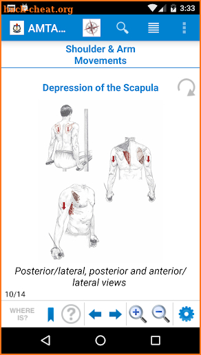 AMTA Anatomy screenshot