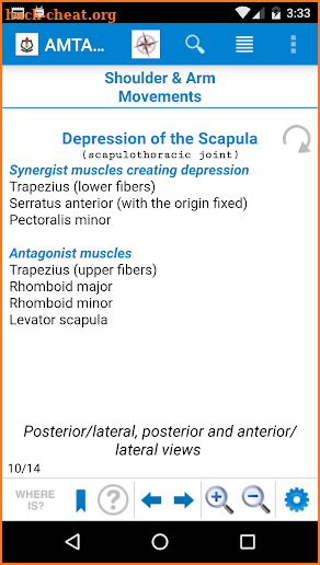 AMTA Anatomy screenshot