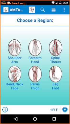 AMTA Body Anatomy screenshot