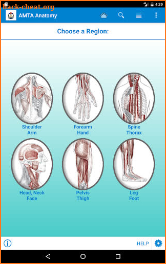 AMTA Body Anatomy screenshot