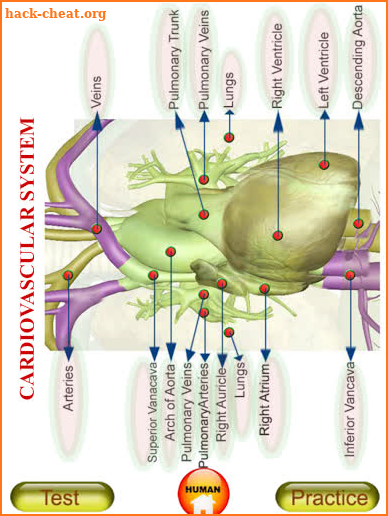 ANATOMY 3D - Human, Animal, Plant, Insect Anatomy screenshot