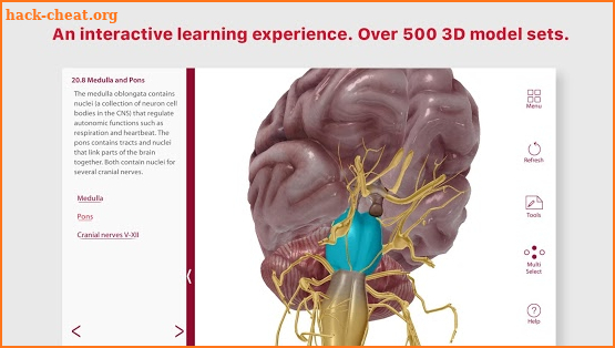 Anatomy & Physiology screenshot