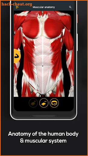 Anatomy by Muscle & Motion screenshot