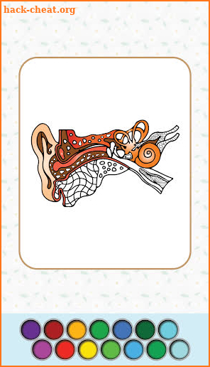 Anatomy Coloring Book screenshot