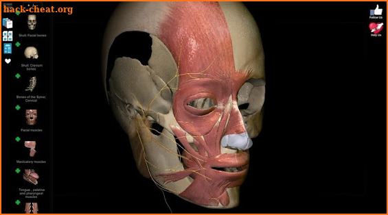 Anatomy Learning - 3D Atlas screenshot