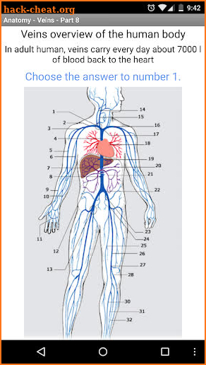 Anatomy - Veins screenshot