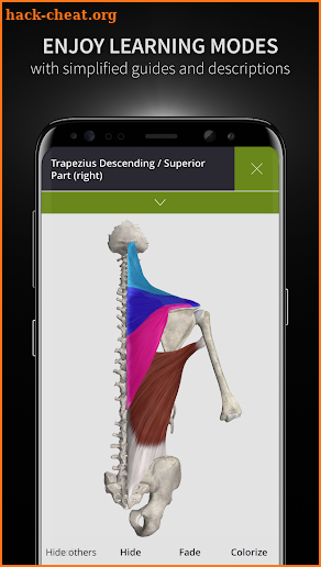 Anatomyka - 3D human anatomy screenshot