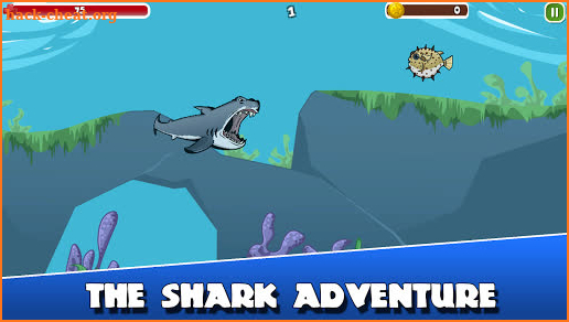 Angry Shark Summer Adventure screenshot