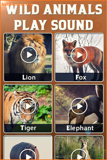 Animal & Bird Real Sounds screenshot