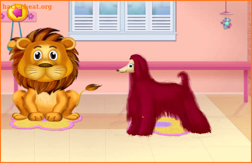 Animal and Pet Hair Salon screenshot