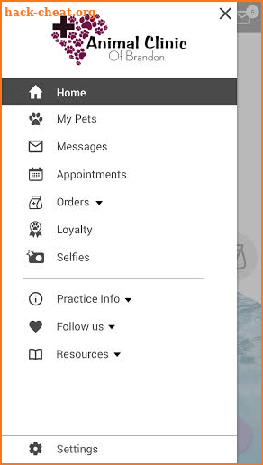 Animal Clinic of Brandon screenshot