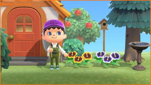 Animal Crossing New Horizons Guide Walkthroughs screenshot