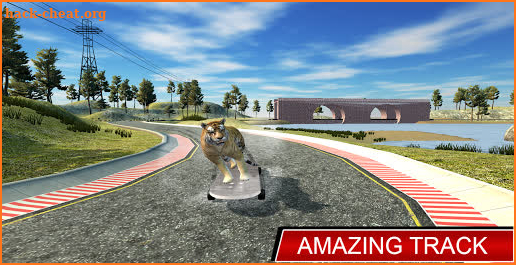 Animal Drifting: Ultimate Racing Simulator screenshot