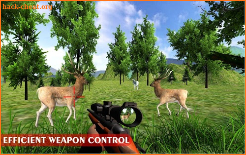 Animal Hunting Wild Adventure:hunting game screenshot